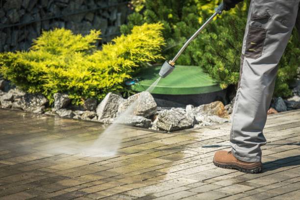 Best Solar Panel Cleaning  in Nevada City, CA