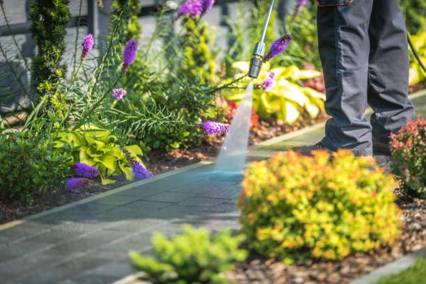 Best Gutter Cleaning  in Nevada City, CA