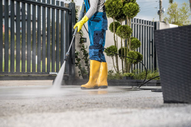 Boat and Dock Cleaning in Nevada City, CA